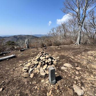 鳥がいたのに
さけんじまった、、