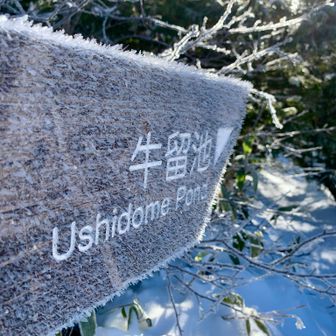 今朝は冷えました～マイナス6度