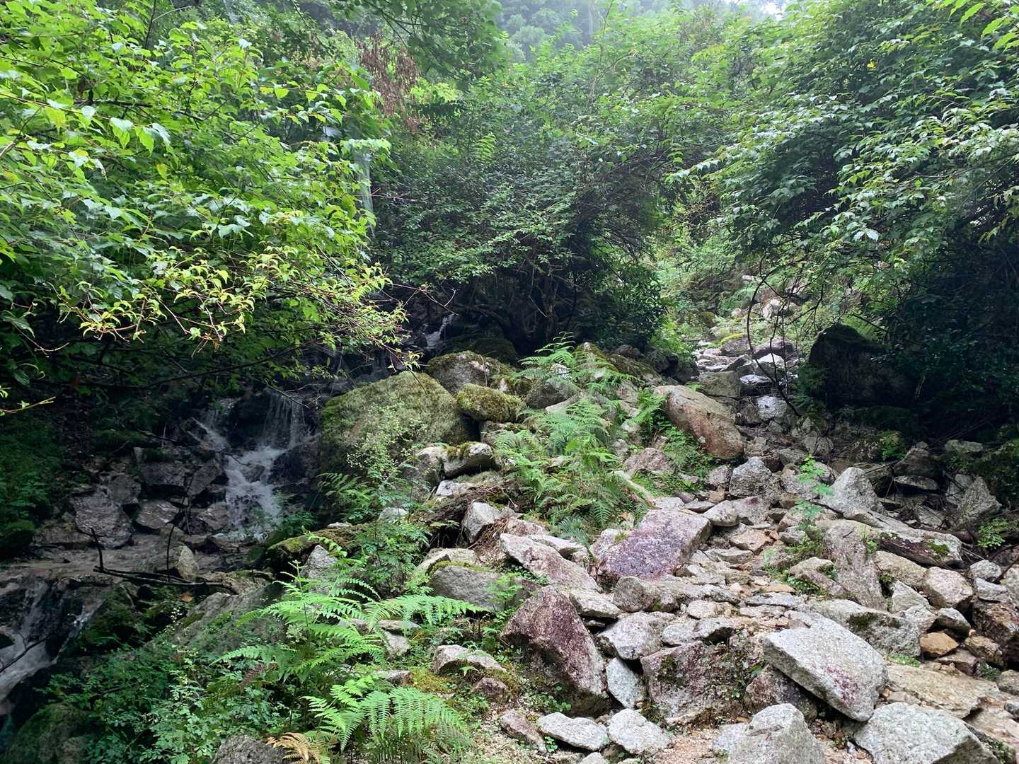 水が流れる渓筋の道
水の流れは昨日より落ち着いている
