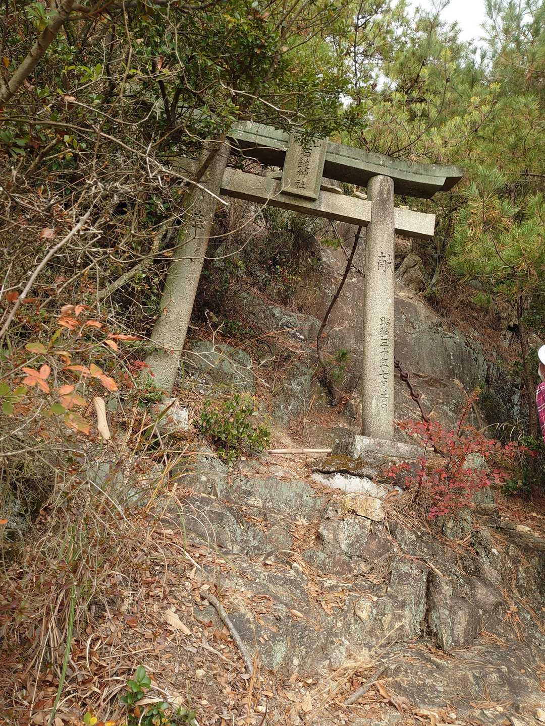 鳥居の左に岩場を上がるための鎖が見える。