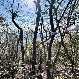 なに撮ってるかわかないけど？実は甚五郎山のピークです💦