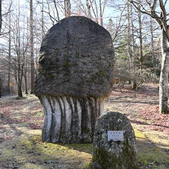 こちらにもモニュメント「長者の森」