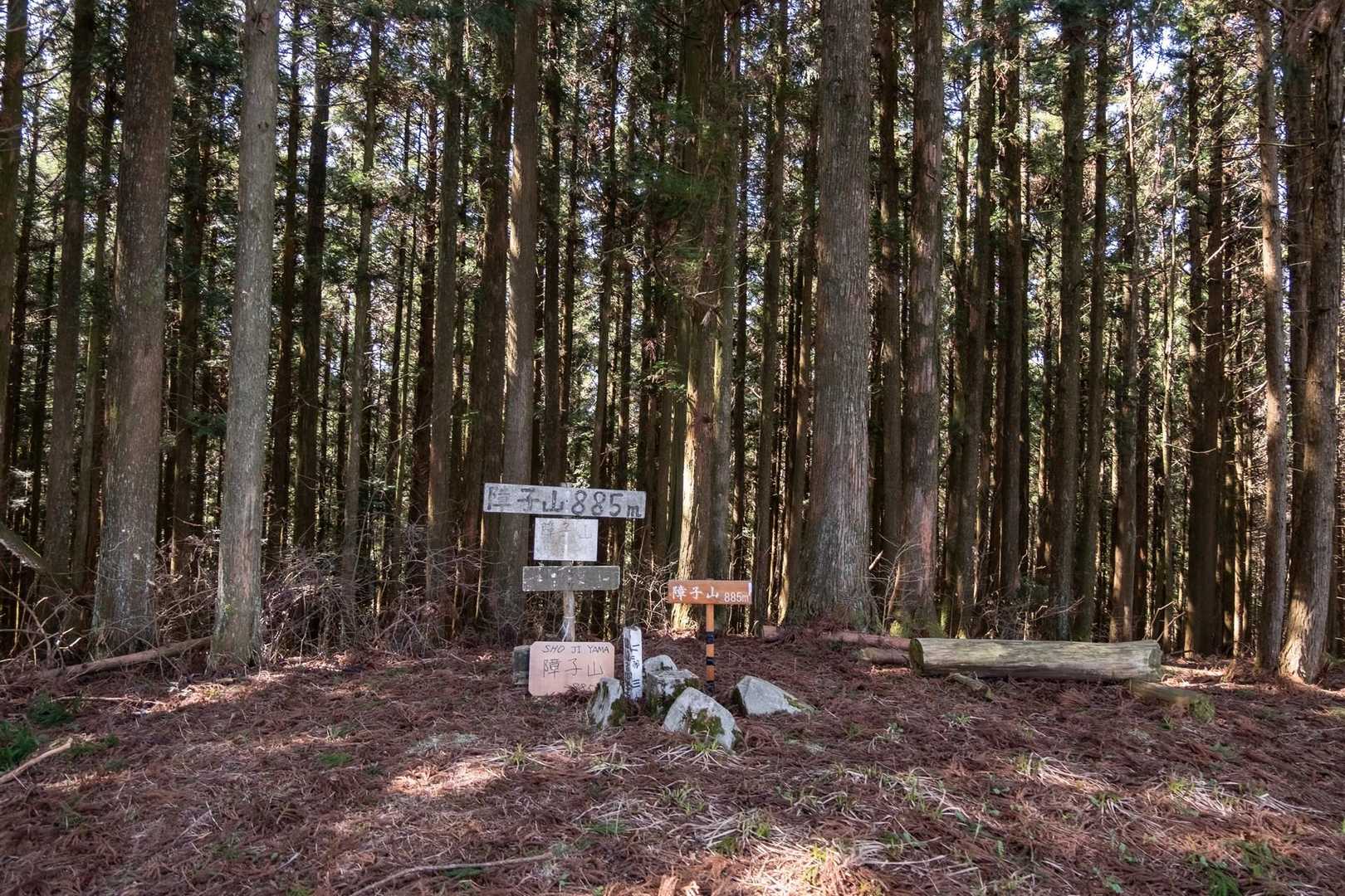 障子山キツかった