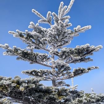 周りの景色見ながら待ちます