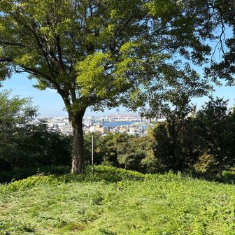 山頂からは海の見える景色が楽しめました♪