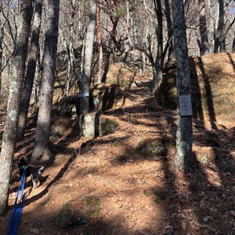 この立石コースは色々な岩に名前がつけられていて、なかなか面白いです🤣