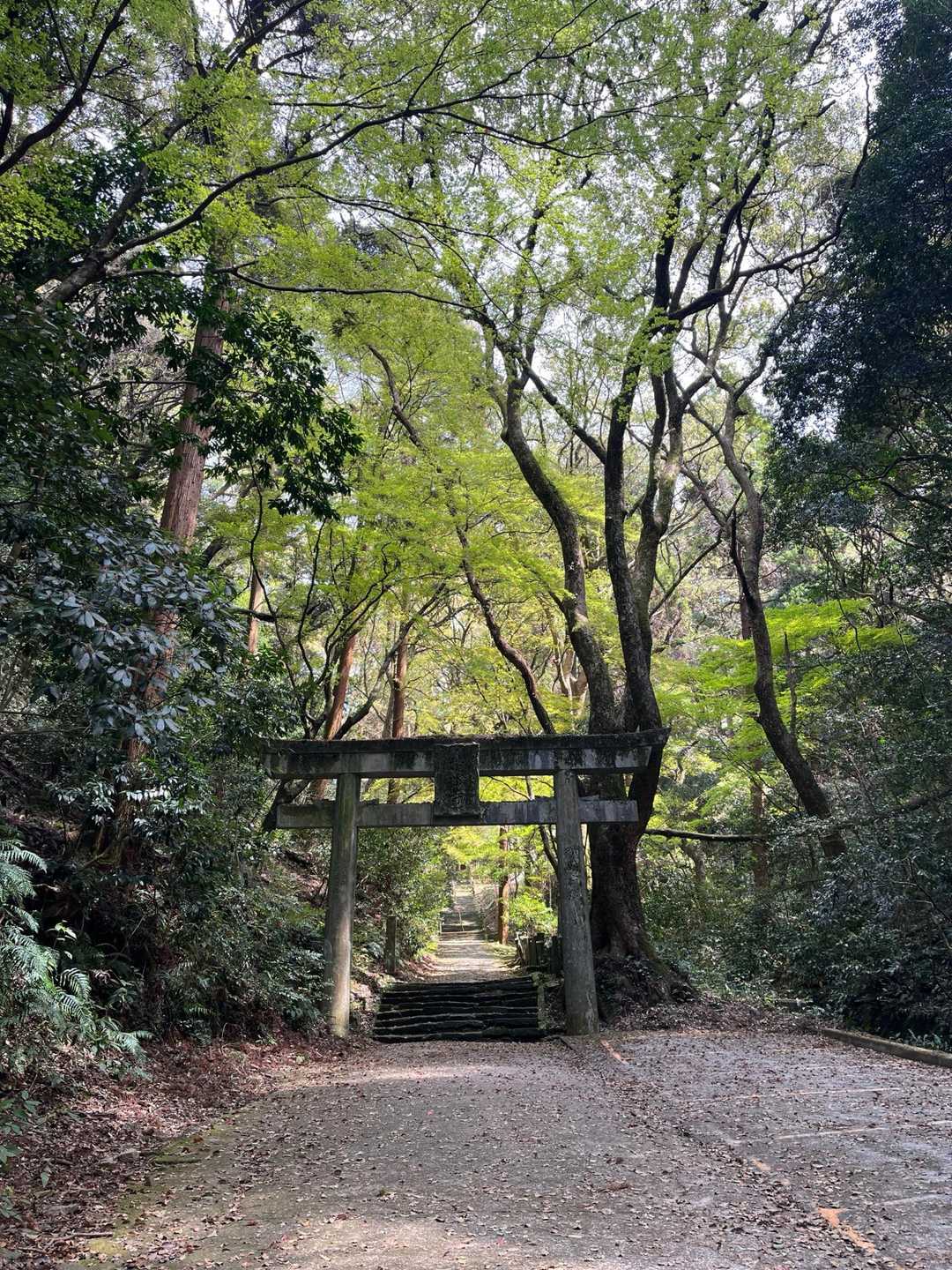 鳥居⛩️を過ぎて