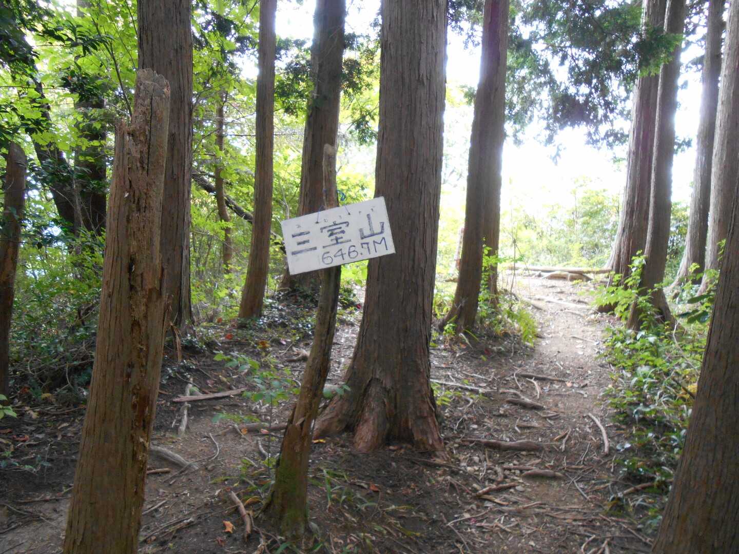 三室山の写真
