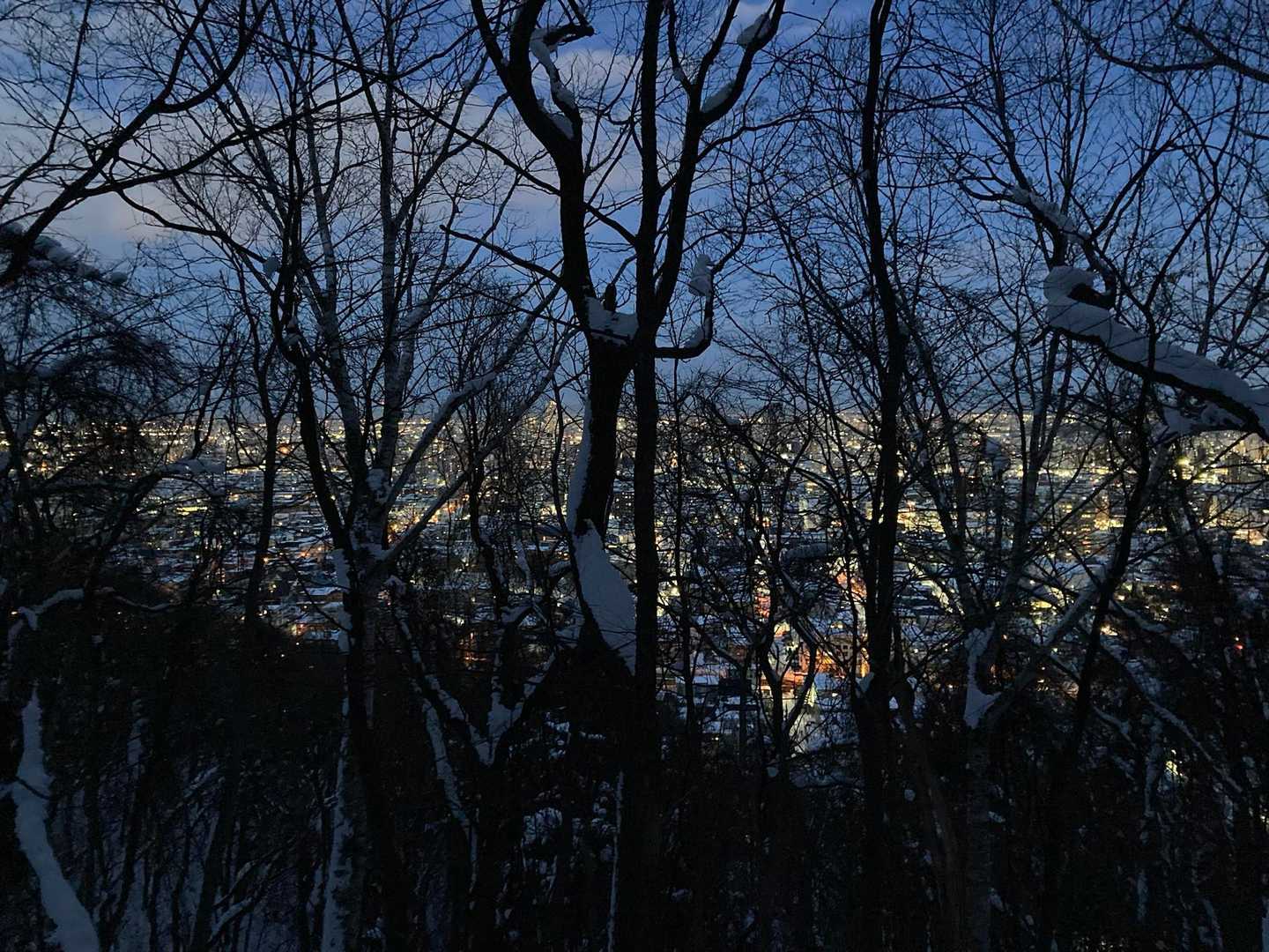 本格的な登山道に入ったあたり。明らかに暗くなってくる。ちょっと焦りだす。