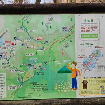 (・_・D フムフム