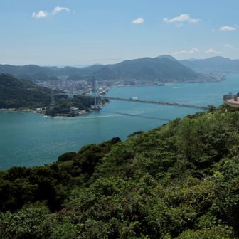 朝と少し景色の色が変わった
そして船の往来が格段に減った
(やっぱり朝のラッシュなんだ)