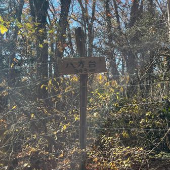 八方台。奥まっていたためか、自分の後に続く人はいなかった。