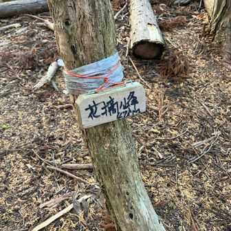 まずは一つ目のグレピです😚