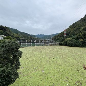 相模ダムだ
相模湖駅から小仏城山へ行くのは初めてなので、楽しみ😊