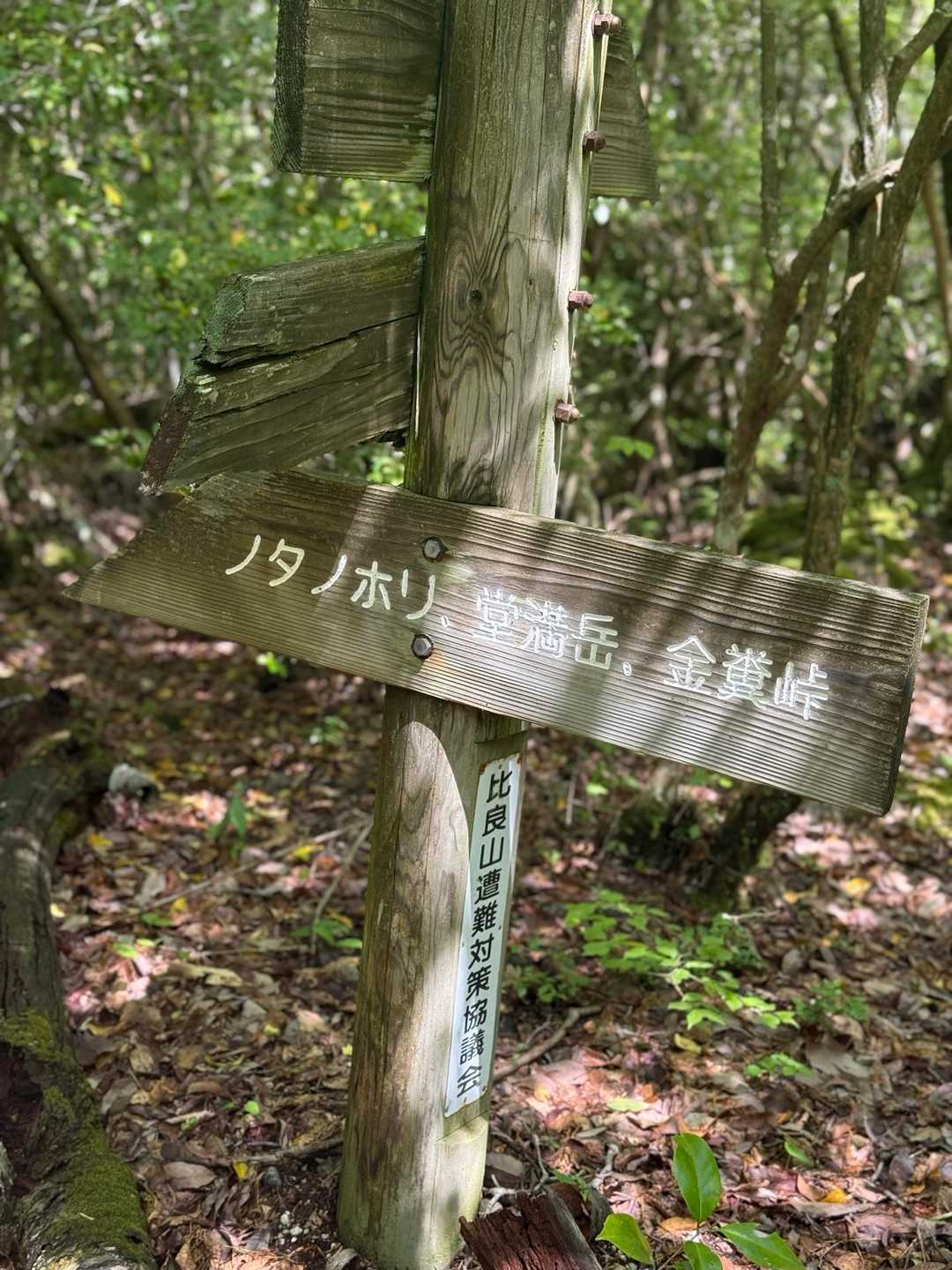 お久しぶりの比良山系⛰️
湖西道路を下りて直ぐアクセスできるのが便利💫