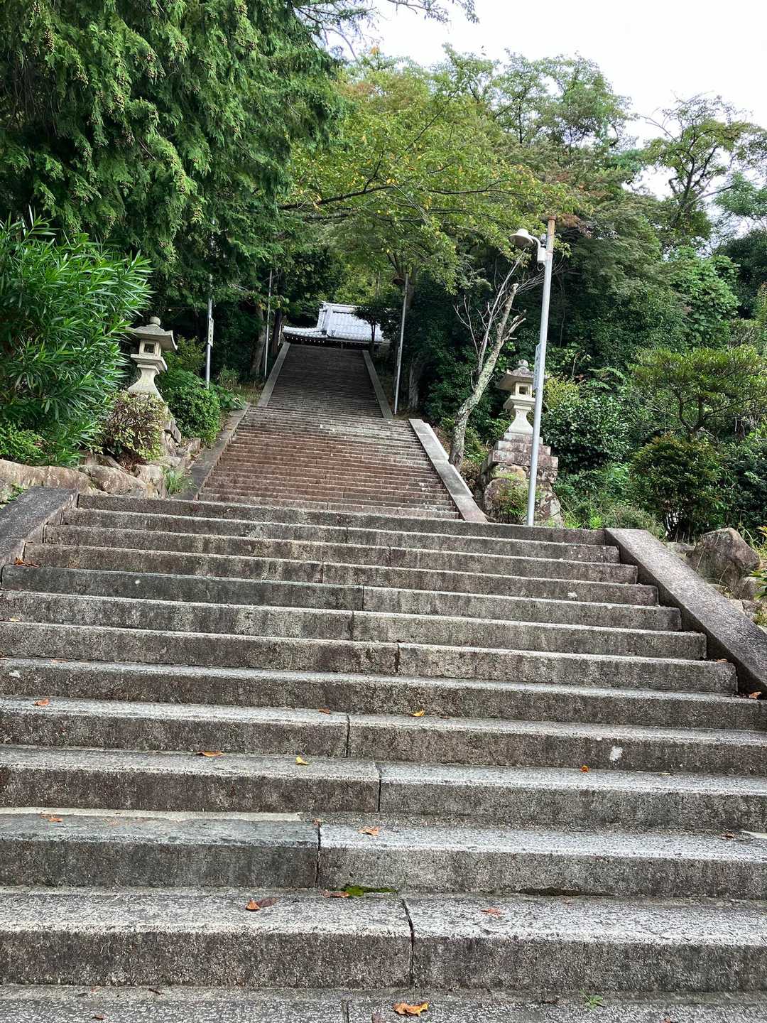 阿賀神社-太郎坊山 往復コースの写真