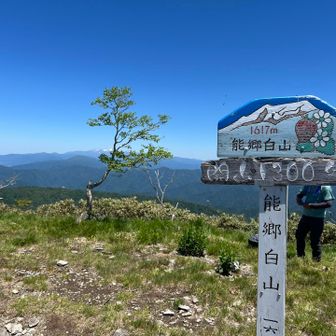 最後の200ｍも急だったけどようやく山頂に到着、かなり疲れた。