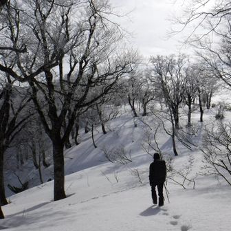 わんだーふぁーげる