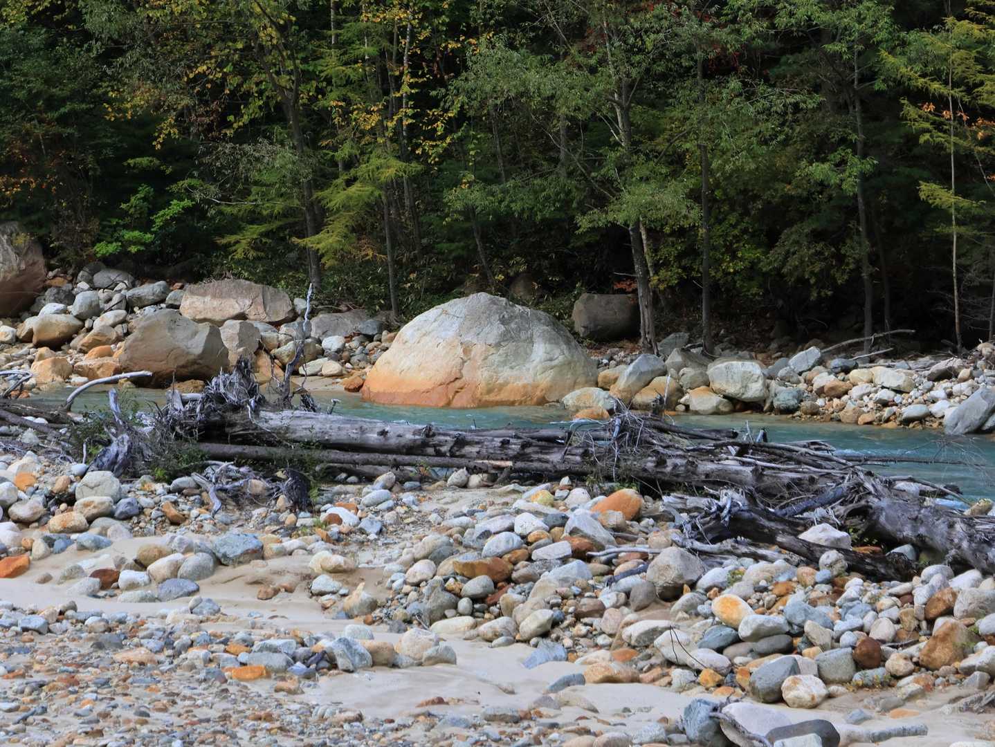 玉ねぎ🧅みたいな岩、発見！
もし何らかの原因で噴湯丘が見られなかったらカバー写真にしようと撮った一枚。