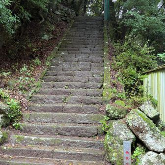 久しぶりに男坂で下りてきました。