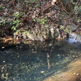 夏に比べると水量少なめですが、澄んでいて綺麗でした