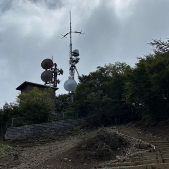 山頂手前は階段地獄。
すれ違った方から「まだ富士山は見えているけど頑張ってー」とアドバイスをいただきダッシュ（気持ちだけ💦）
