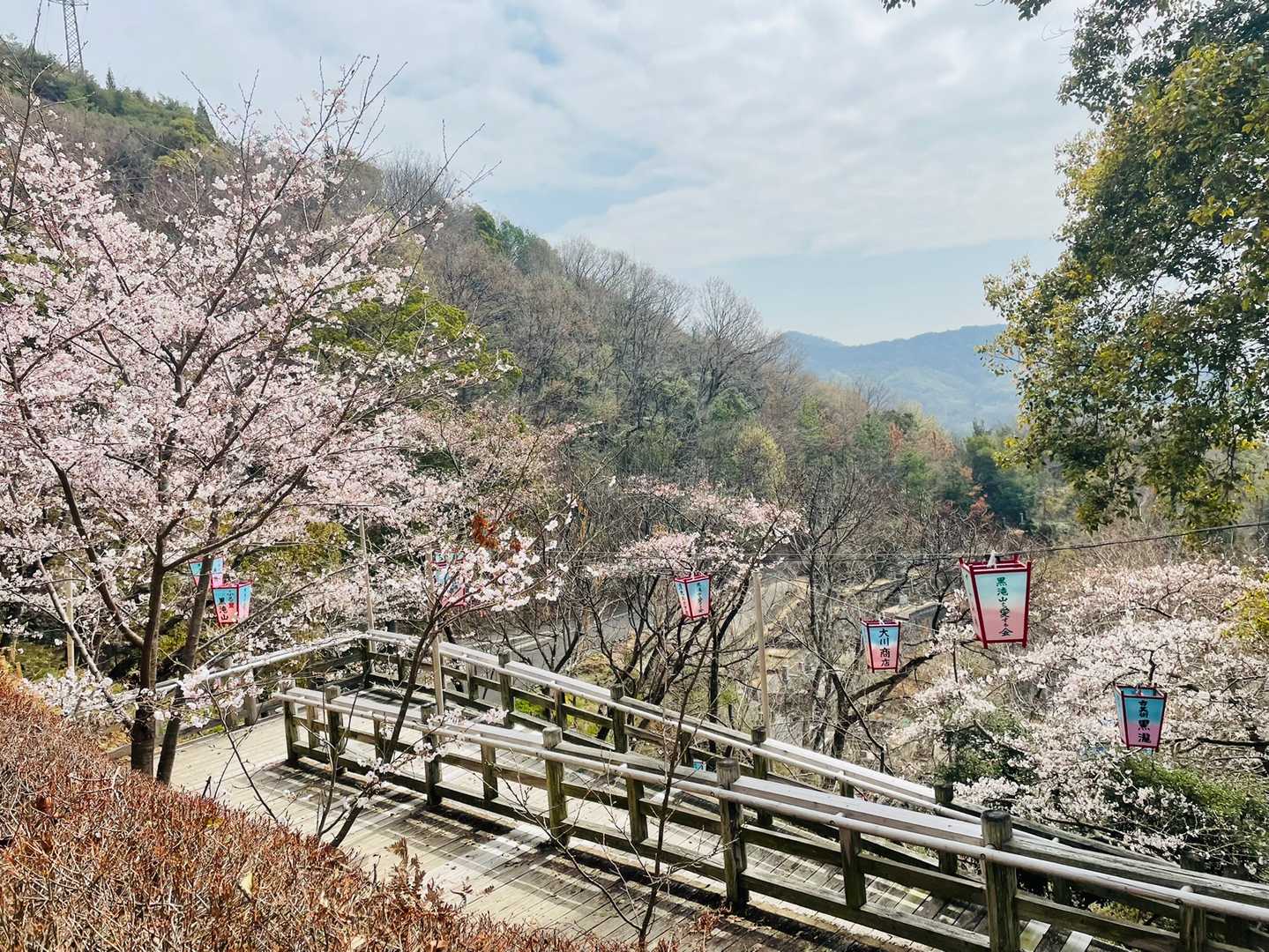 黒滝山 往復コースの写真