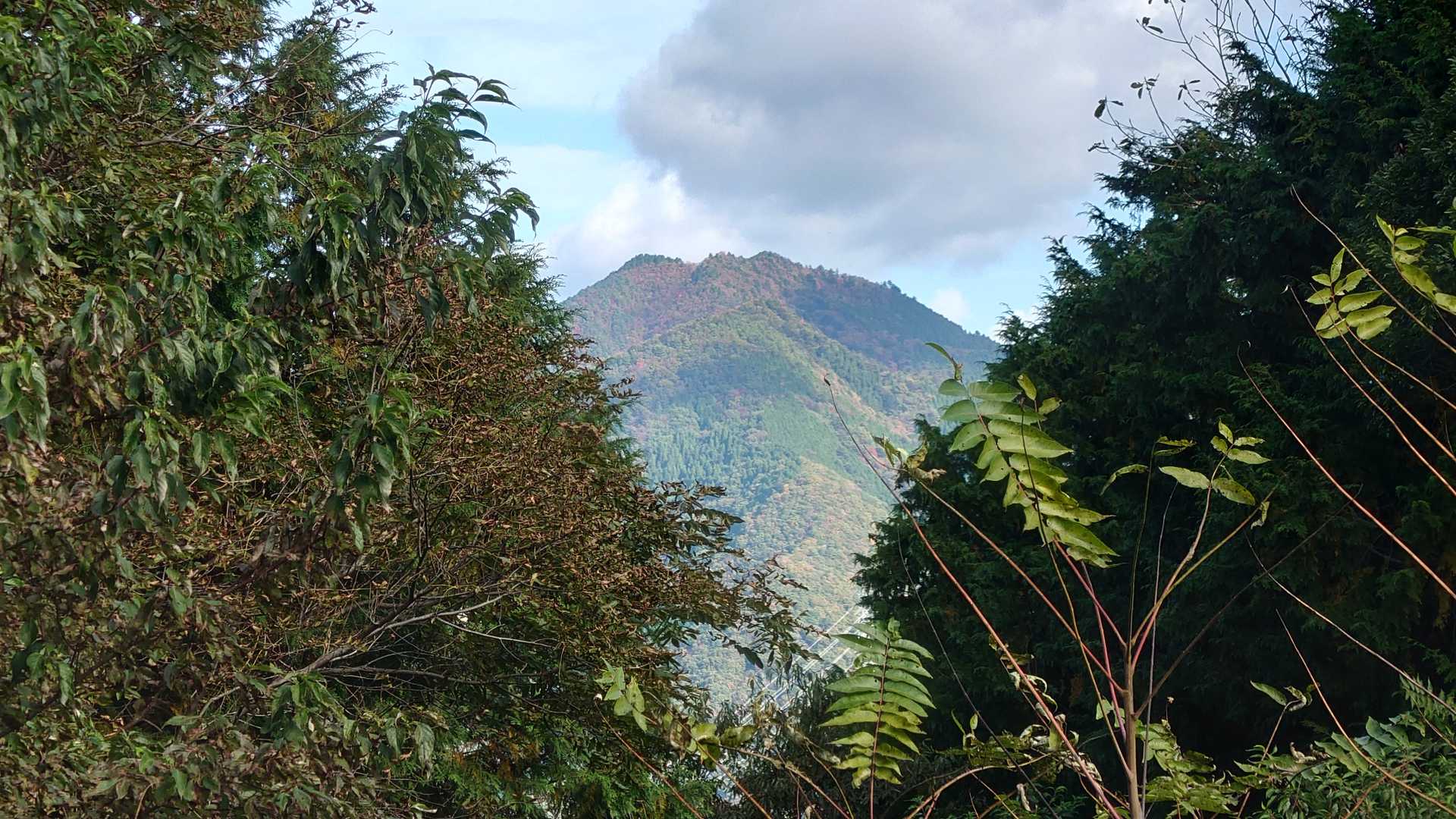 隙間から長水山かな？？