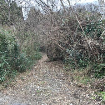 特に看板🪧等はありませんが😅
舗装路からここで登山道🥾へ