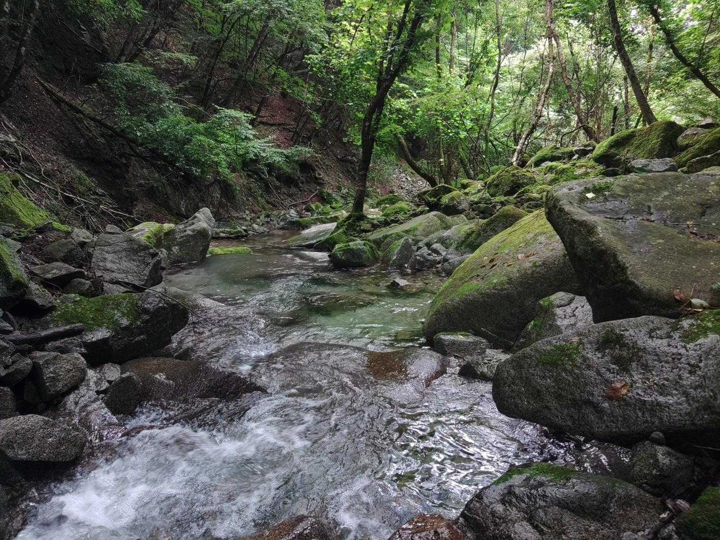 橋を渡る度に水がキレイで癒されます😊