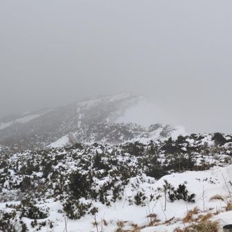 まっ冬の大山は白いもんですよね😀自分は静かに登れで好きです😀