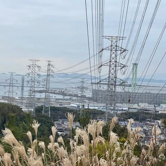 家島諸島が見えます