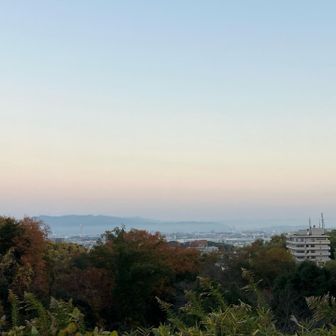 実際にはまだ暗いけどスマホカメラは明るく映る📱