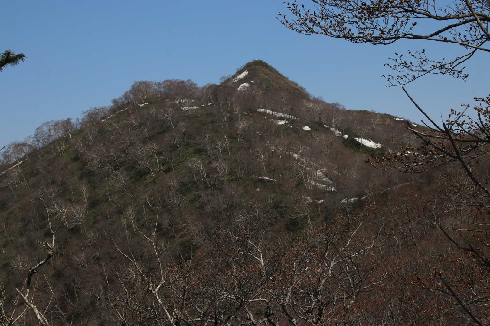 とんがりが稲包山