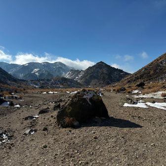 ヒラメちゃんと北千里