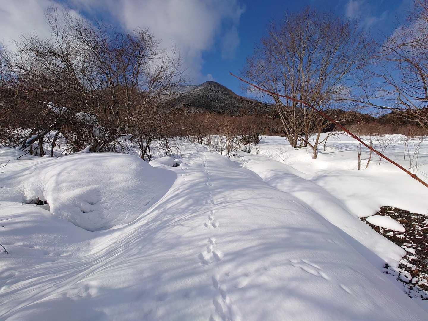 道は合ってるかなぁ
ウサギさんのトレース🐰