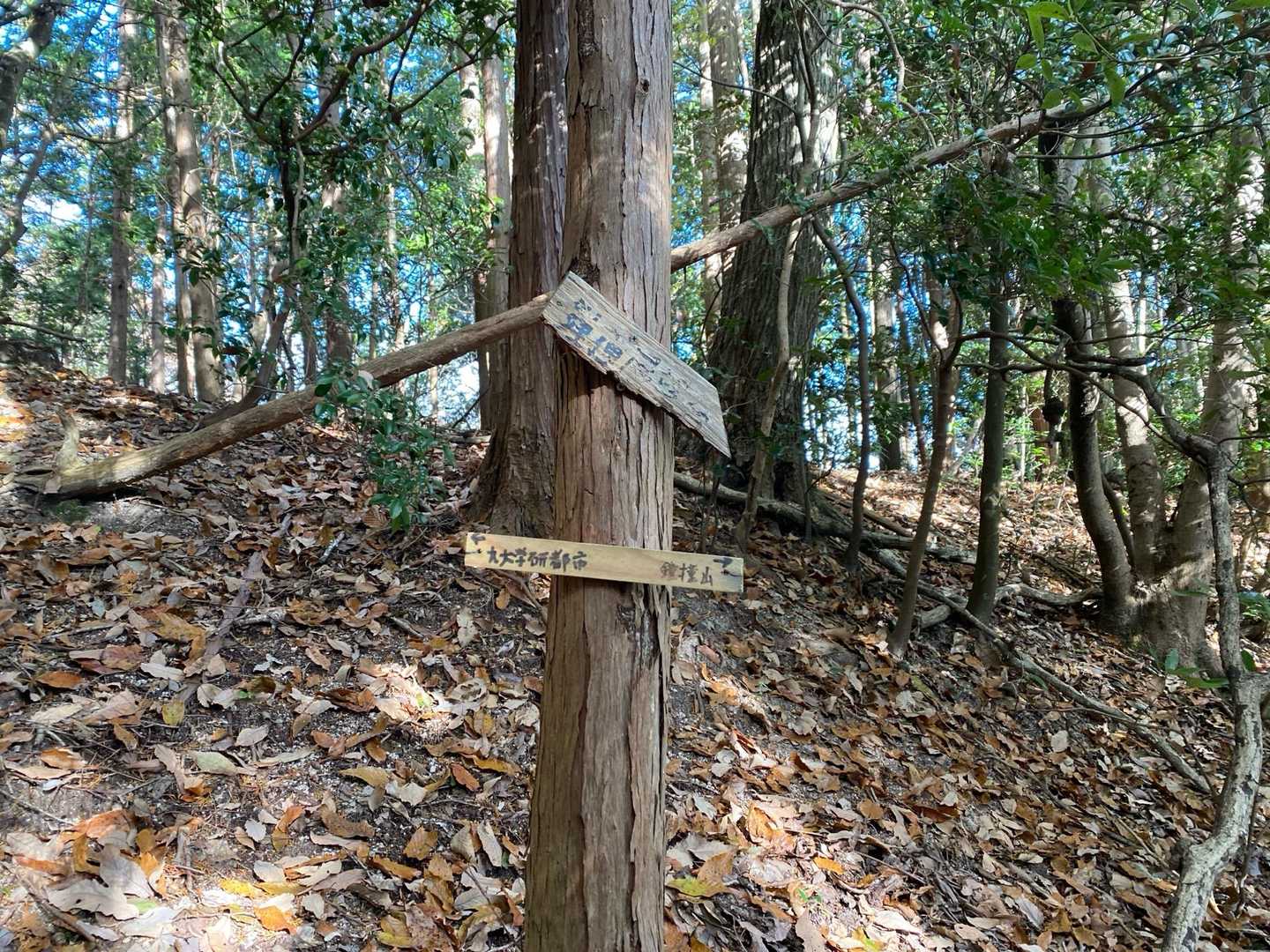 鐘撞山山頂から降りると九大学研都市に行けますよ、って事でしょうね。