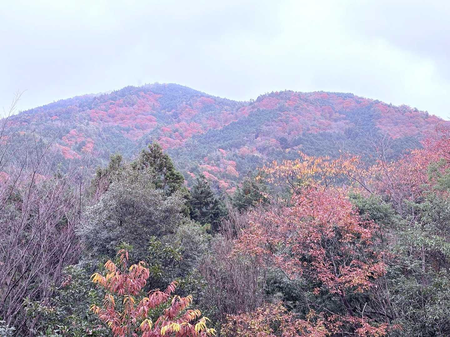 六所山-炮烙山 周回コースの写真