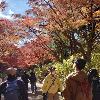 ボランティアガイドさん、植物について１時間以上に渡り懇切丁寧に教えて頂きました
