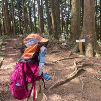 冷却扇風機を顔にペタ🥶

さて、ここから一気に登りますぞ！