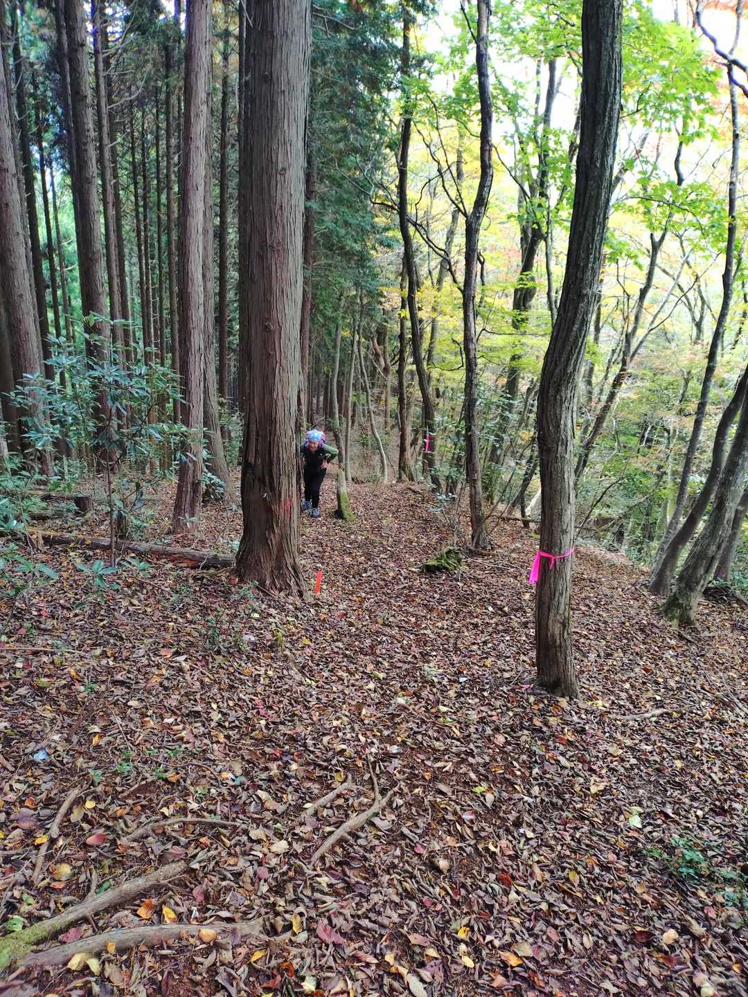 なかなかの登りです✨️

落ち葉がいっぱいで、３歩進んで、２歩ずり落ちる感じですね