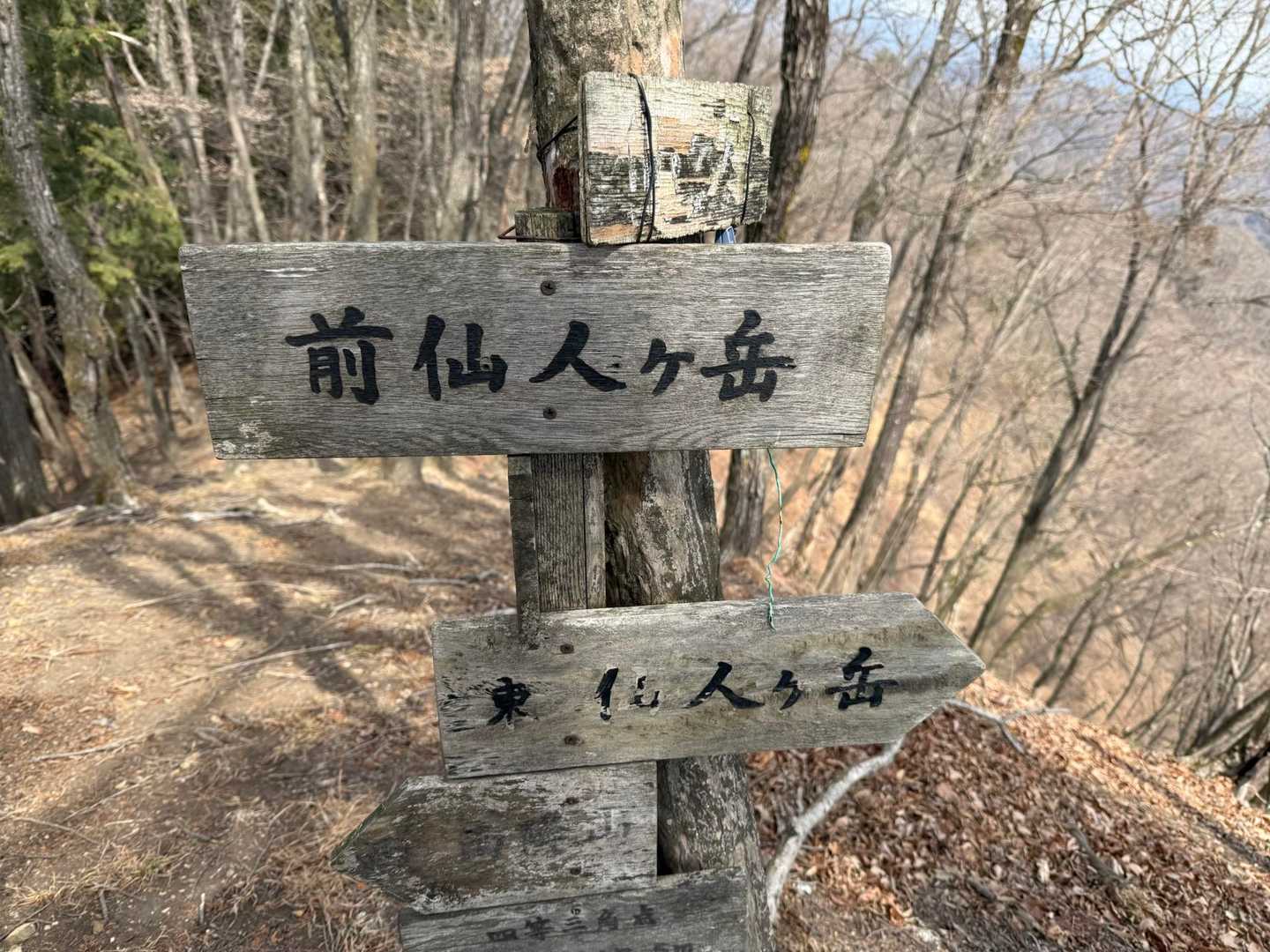 前仙人ヶ岳⛰️とうちゃーく
未踏ピーク4つ目ᵍᵋᐪ( ᐛ )و