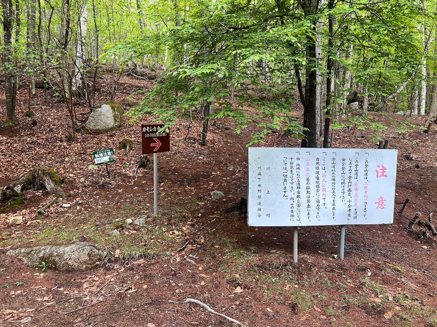 ここから小川山登山道
岩場、急登の上級者コースと書いてあります。
確かに前半は岩場、ロープ、梯子、多かったです。