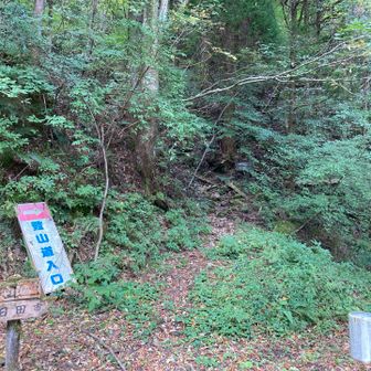 標識もあり迷子にはならない