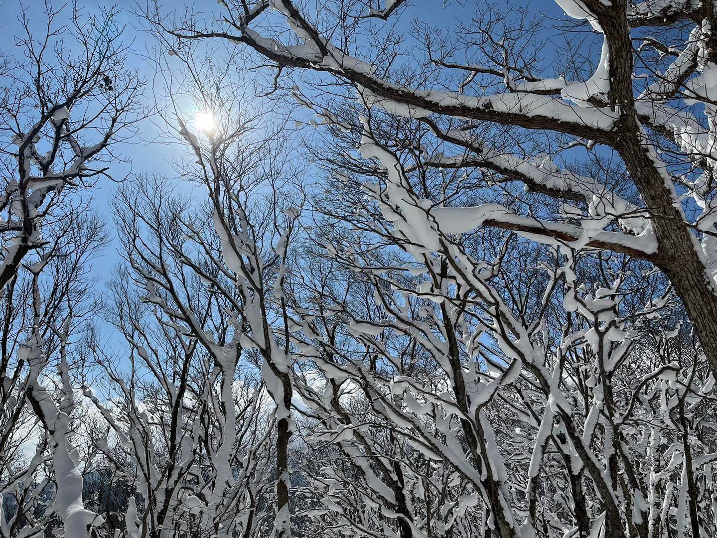 ✩•*¨*•.¸¸♪✧𝒷ℯ𝒶𝓊𝓉𝒾𝒻𝓊𝓁✩•*¨*•.¸¸♪✧