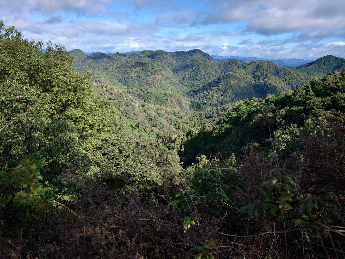 高沢山-大仏山-本城山 周回コースの写真