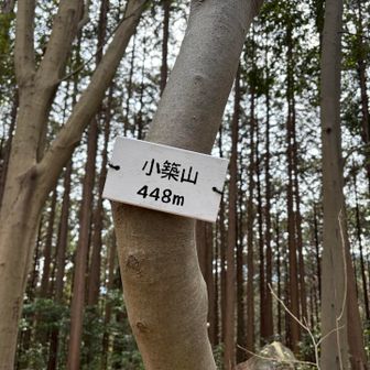 広い山頂だけど展望はない。