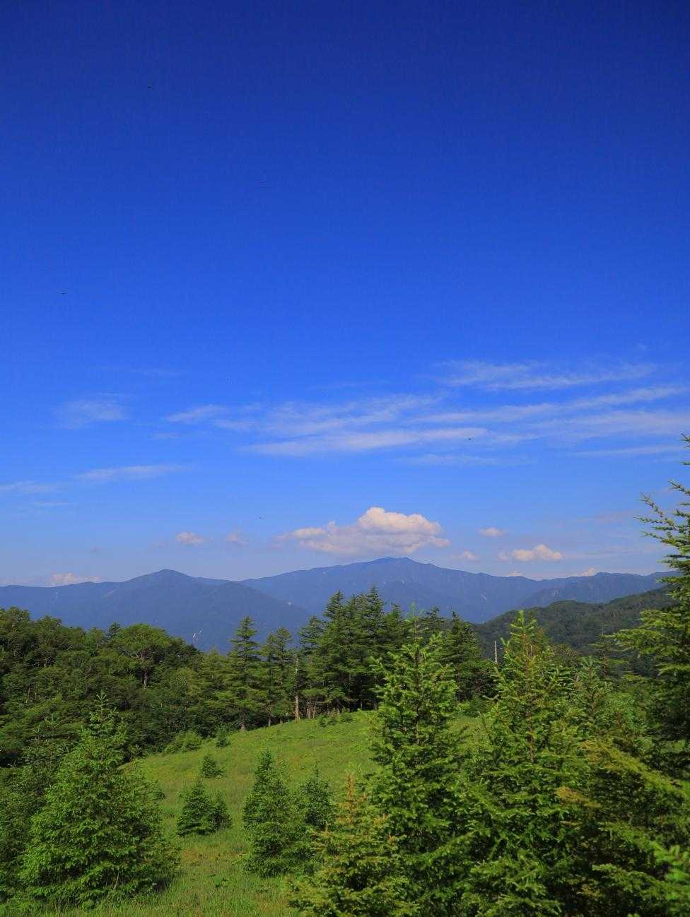 笠取山（作場平）の写真