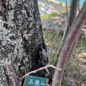 山頂到達