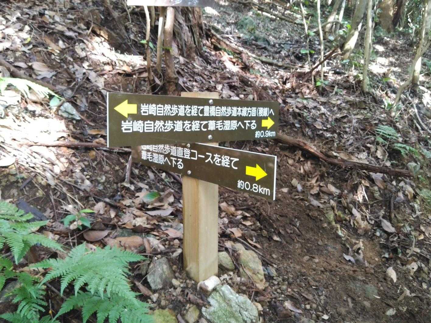 分岐点